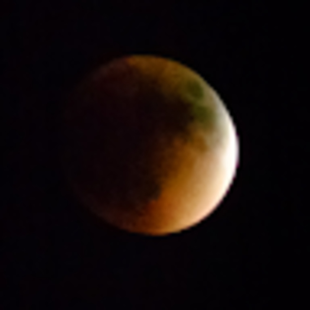 Meet your Posher, Daisy